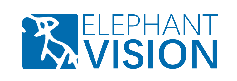 Elephant vision